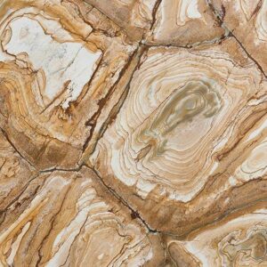 Гранит Стоун Вуд Stone Wood (кварцит)
