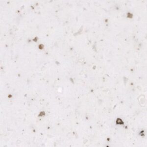 Hanex T-068 Rice Cookie