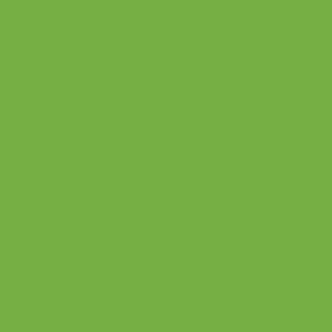 Staron SG056 Green Tea